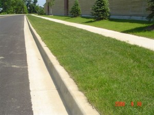 Concrete Curb Repair