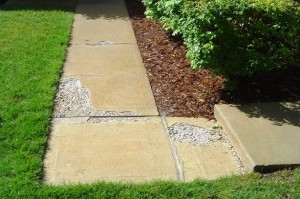 Sidewalk and Concrete Repair